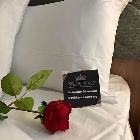 4 La Laguna, Centrico Y Acogedor Apartman La Laguna